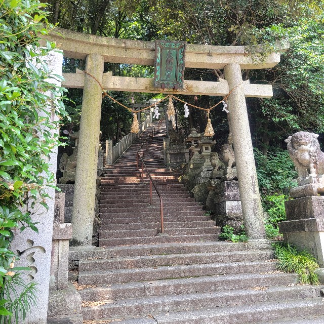 f:id:atoriatoriatori:20250714161152j:image