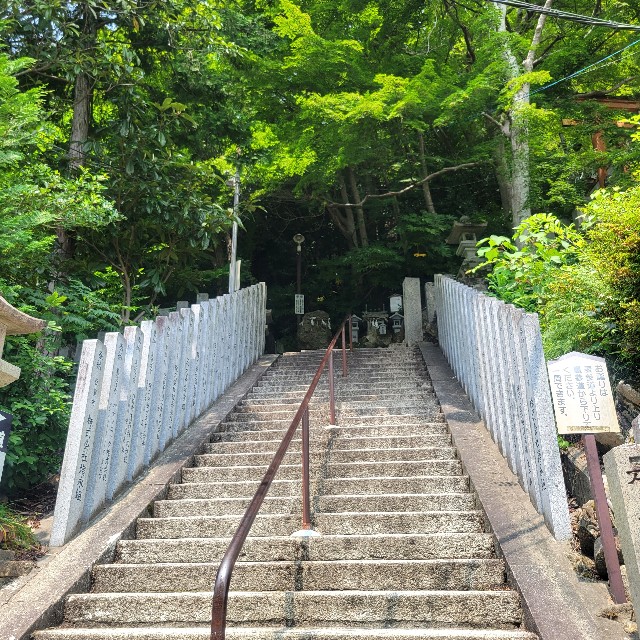 f:id:atoriatoriatori:20250715090003j:image