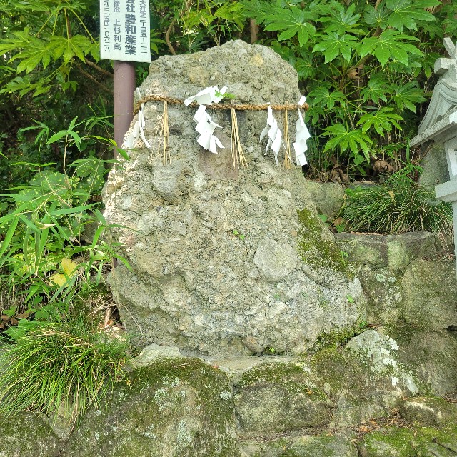 f:id:atoriatoriatori:20250715090643j:image