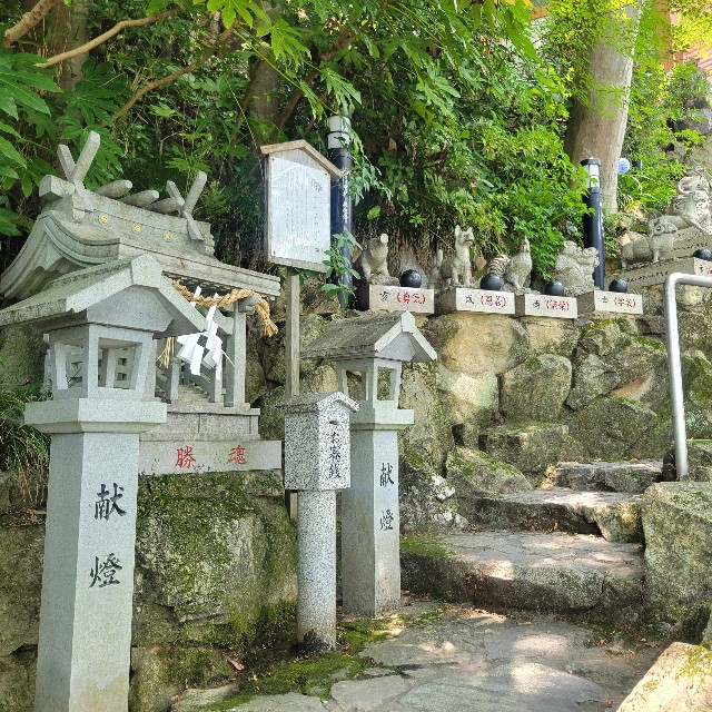 f:id:atoriatoriatori:20250715090708j:image