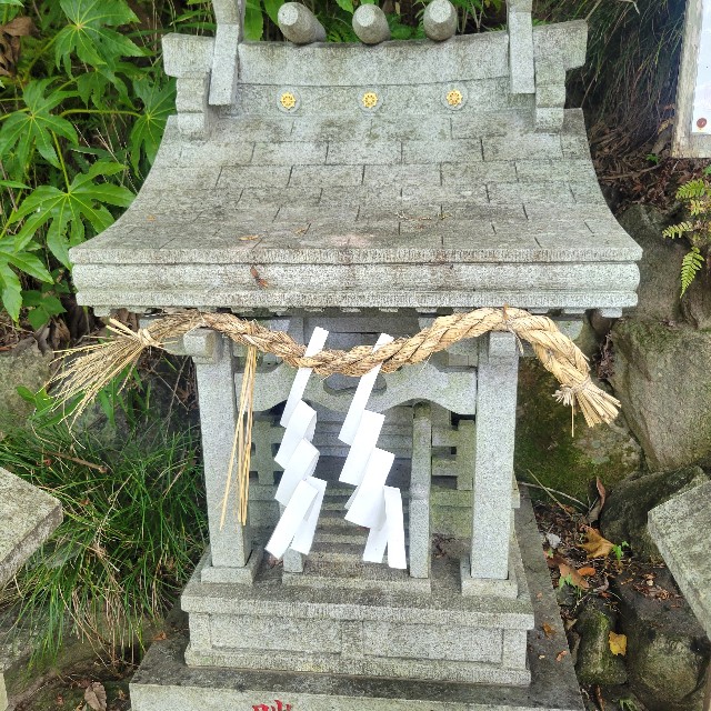 f:id:atoriatoriatori:20250715090716j:image