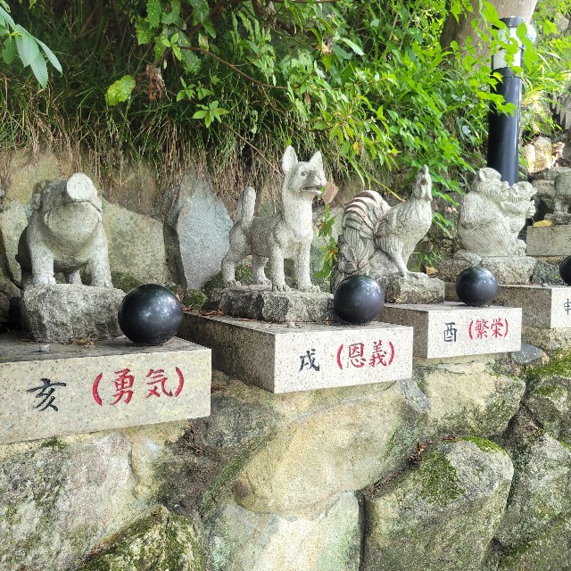 f:id:atoriatoriatori:20250715090722j:image