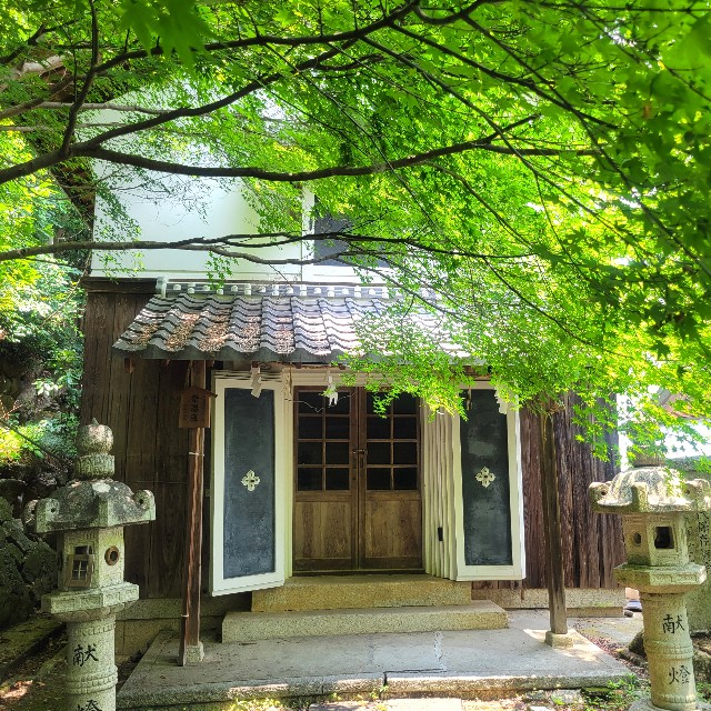 f:id:atoriatoriatori:20250715092323j:image