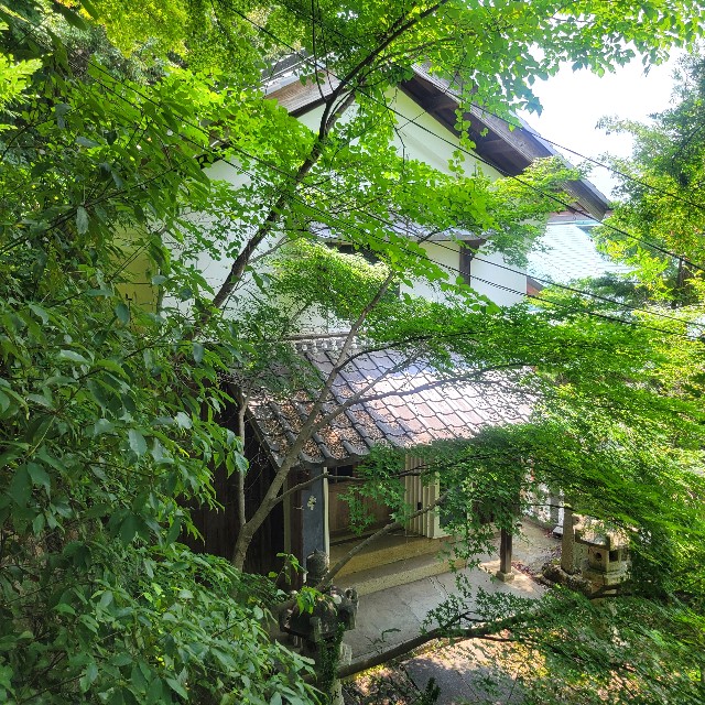 f:id:atoriatoriatori:20250715092640j:image