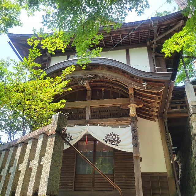 f:id:atoriatoriatori:20250715093358j:image