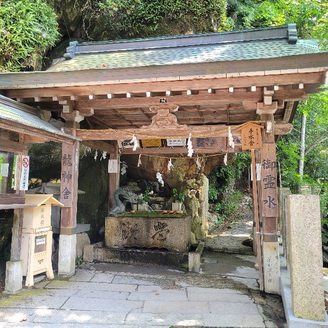 f:id:atoriatoriatori:20250715093706j:image