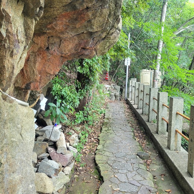 f:id:atoriatoriatori:20250715093741j:image
