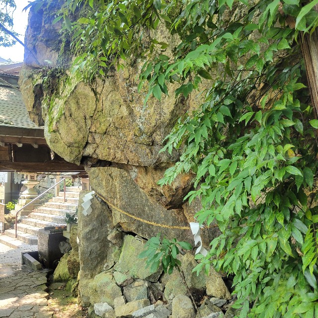 f:id:atoriatoriatori:20250715093750j:image