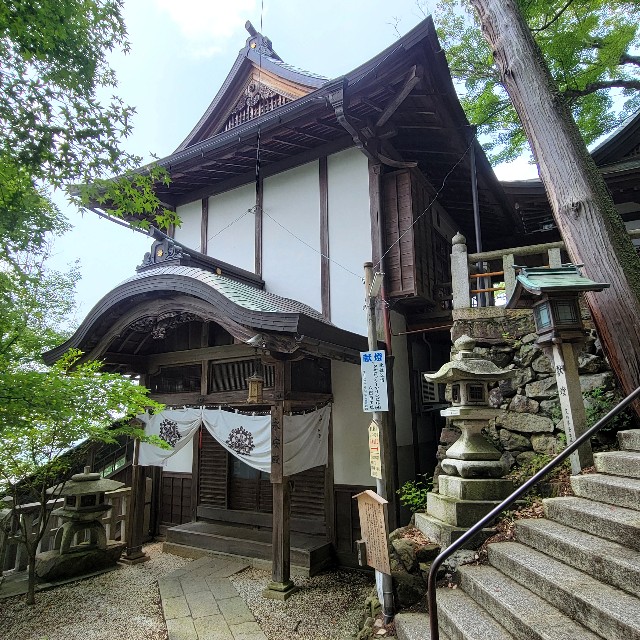 f:id:atoriatoriatori:20250715100108j:image