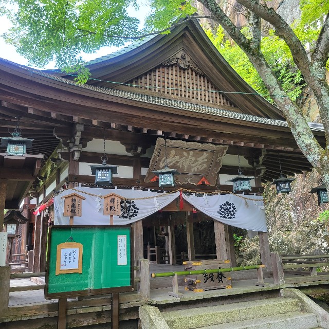 f:id:atoriatoriatori:20250715100651j:image