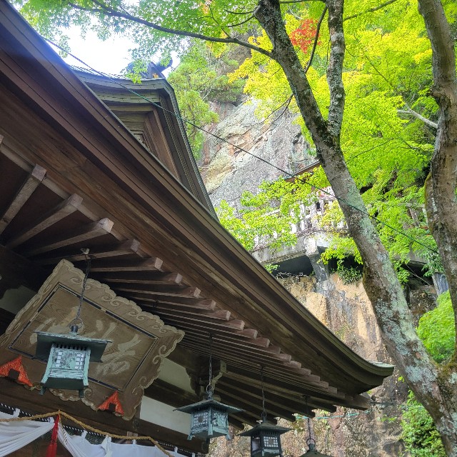 f:id:atoriatoriatori:20250715100708j:image