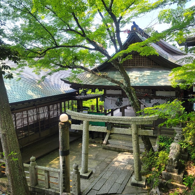 f:id:atoriatoriatori:20250715101131j:image
