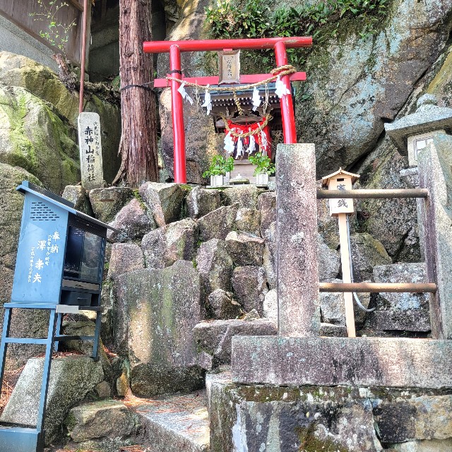 f:id:atoriatoriatori:20250715101550j:image