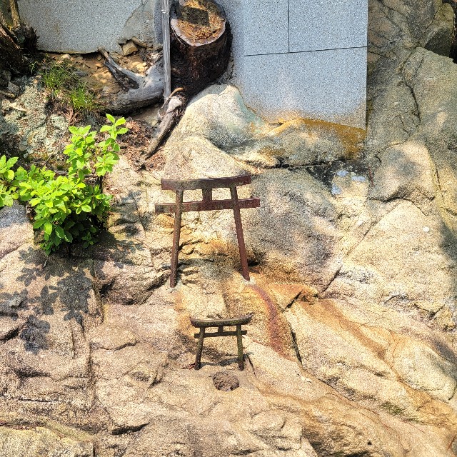 f:id:atoriatoriatori:20250715102049j:image