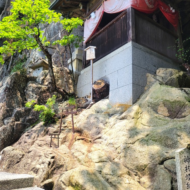 f:id:atoriatoriatori:20250715102358j:image