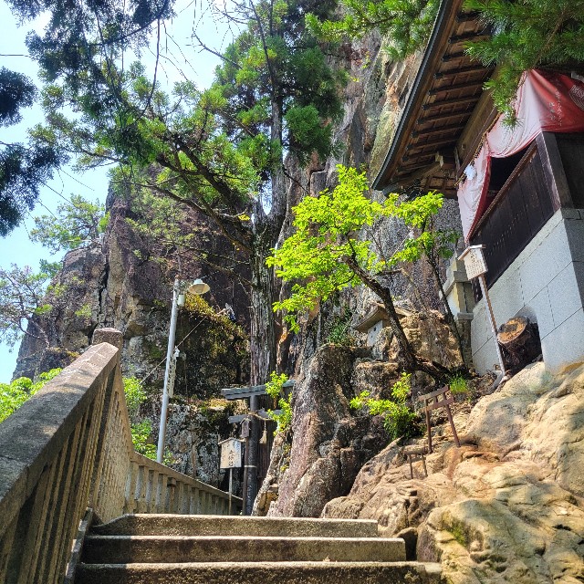 f:id:atoriatoriatori:20250715102428j:image