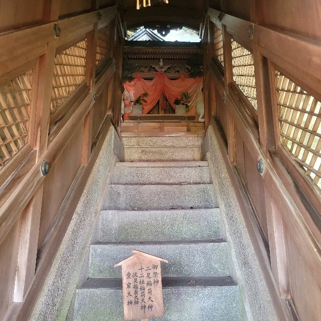 f:id:atoriatoriatori:20250715103018j:image