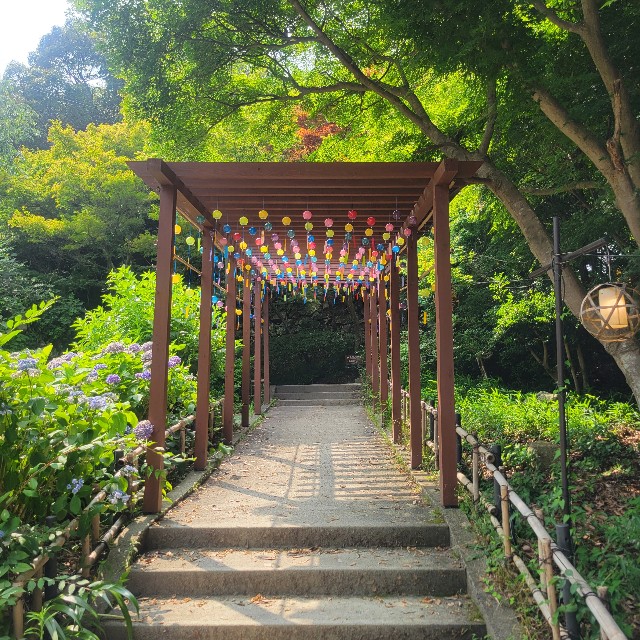 f:id:atoriatoriatori:20250717150028j:image