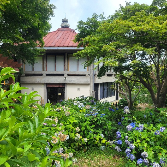 f:id:atoriatoriatori:20250717162904j:image