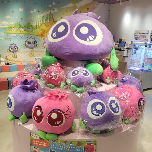 f:id:atoriatoriatori:20250728075324j:image