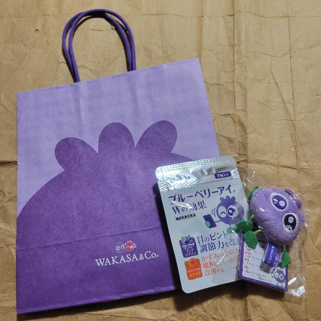 f:id:atoriatoriatori:20250728174339j:image