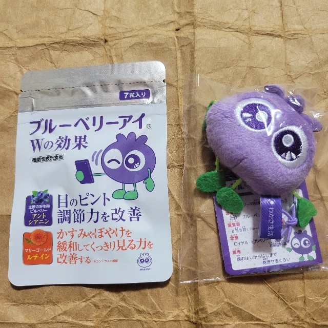 f:id:atoriatoriatori:20250728174345j:image