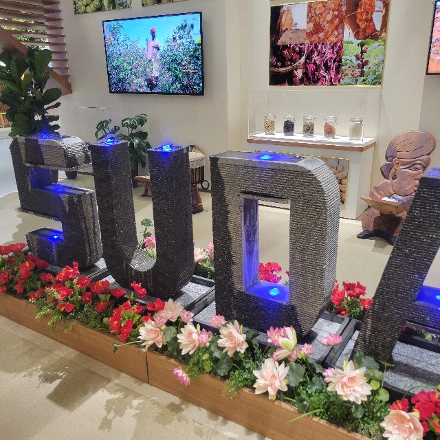 f:id:atoriatoriatori:20250801075433j:image