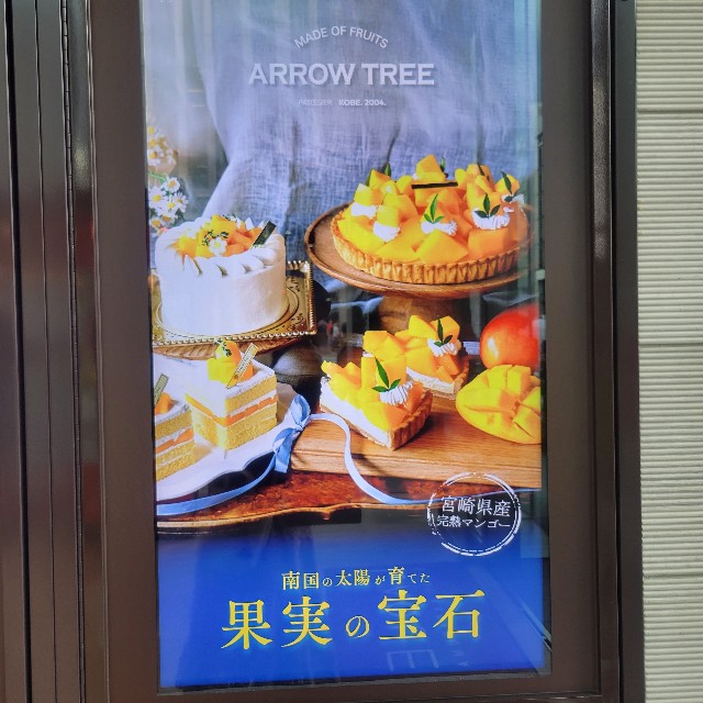 f:id:atoriatoriatori:20250802082854j:image