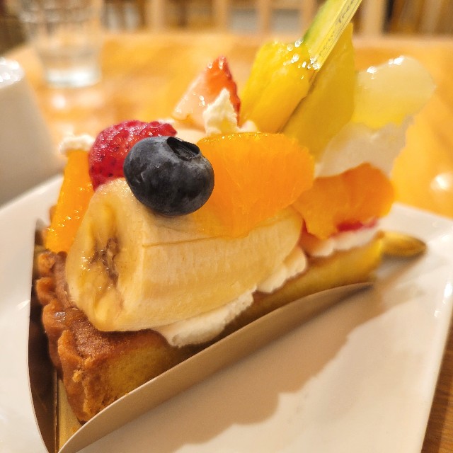 f:id:atoriatoriatori:20250802123919j:image