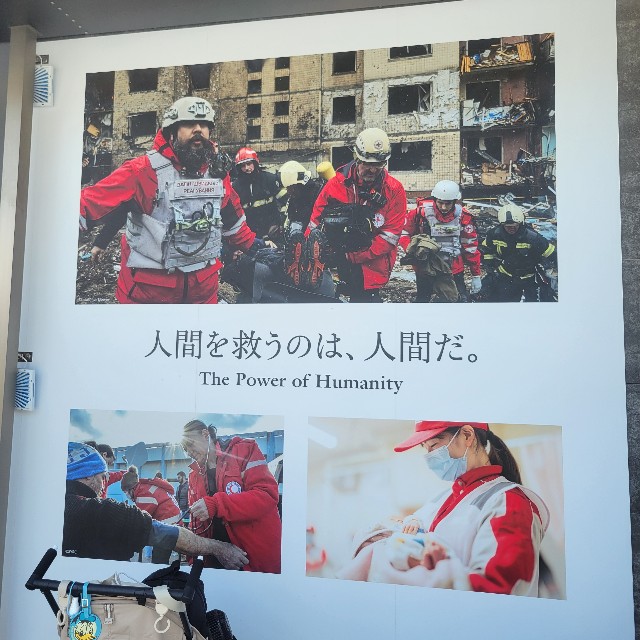 f:id:atoriatoriatori:20250803094742j:image