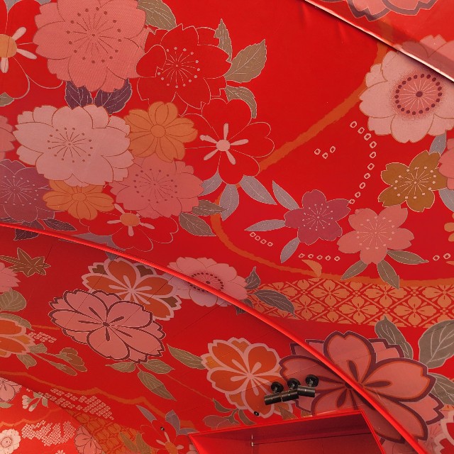 f:id:atoriatoriatori:20250809101842j:image