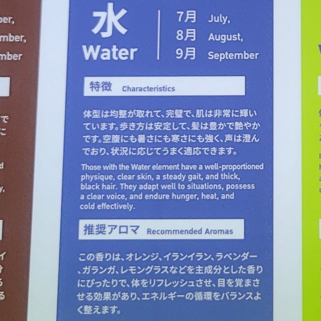 f:id:atoriatoriatori:20250826105001j:image