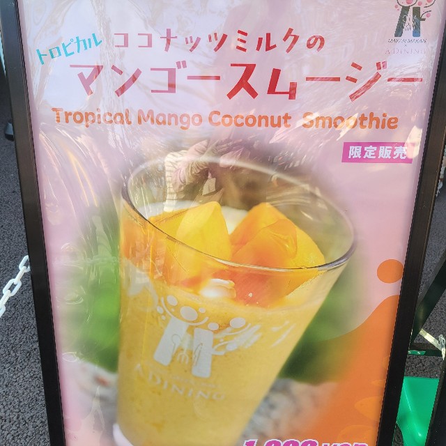 f:id:atoriatoriatori:20250831145509j:image