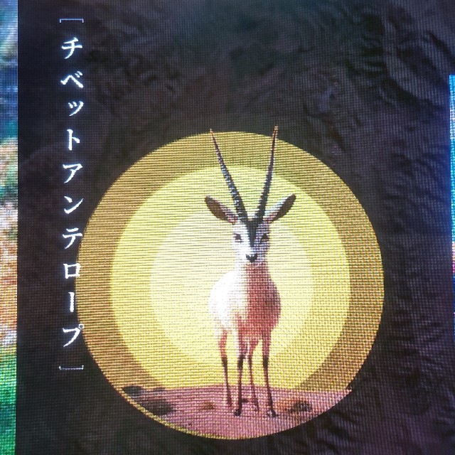 f:id:atoriatoriatori:20250901094610j:image