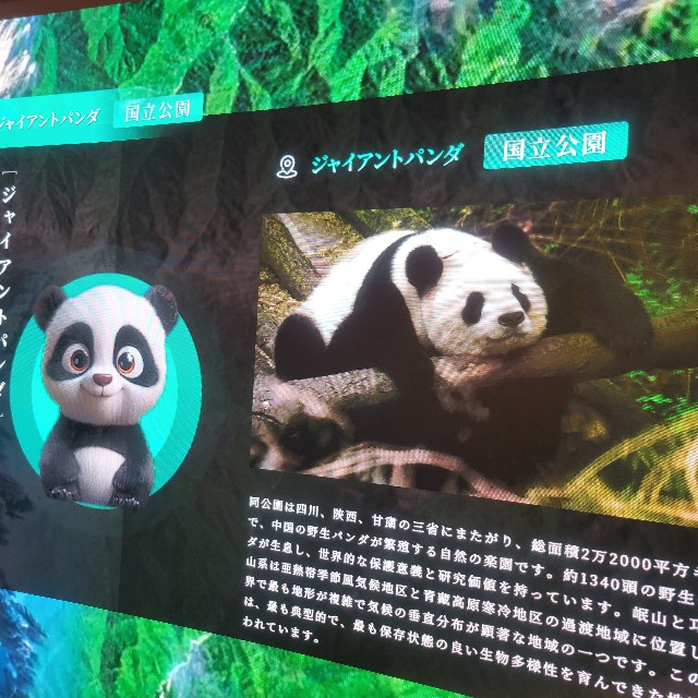 f:id:atoriatoriatori:20250901094617j:image