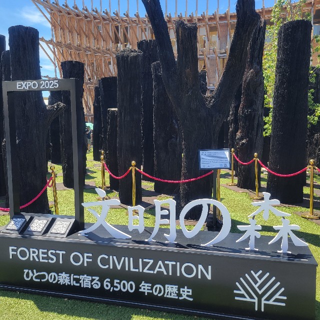 f:id:atoriatoriatori:20250901215651j:image