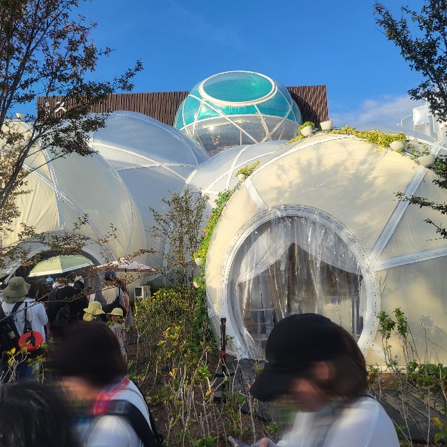 f:id:atoriatoriatori:20250905154134j:image