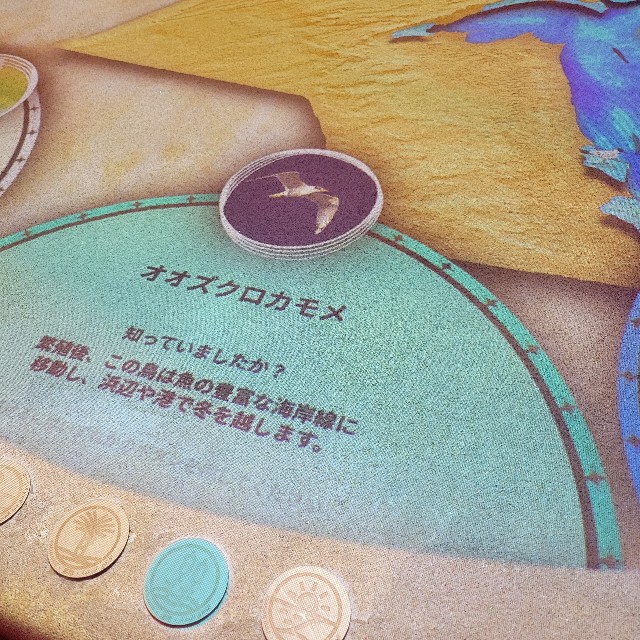 f:id:atoriatoriatori:20250907093331j:image