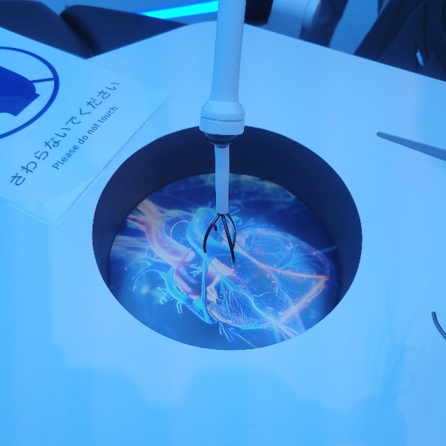 f:id:atoriatoriatori:20250910201932j:image f:id:atoriatoriatori:20250910201932j:image