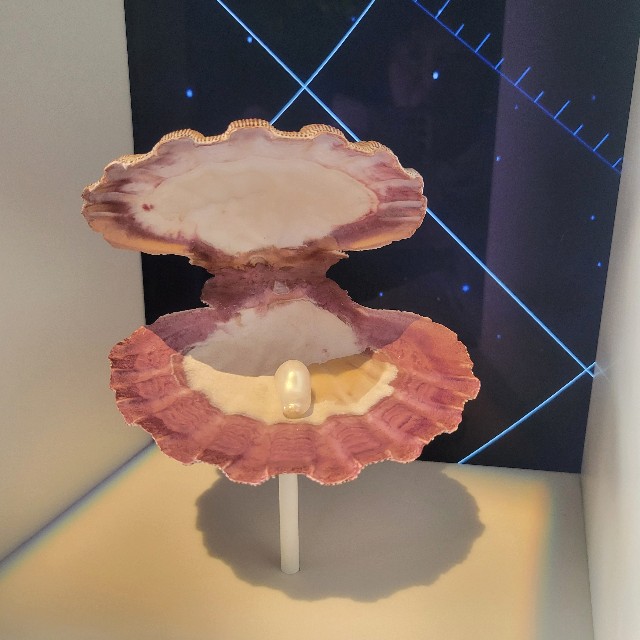 f:id:atoriatoriatori:20250916173600j:image