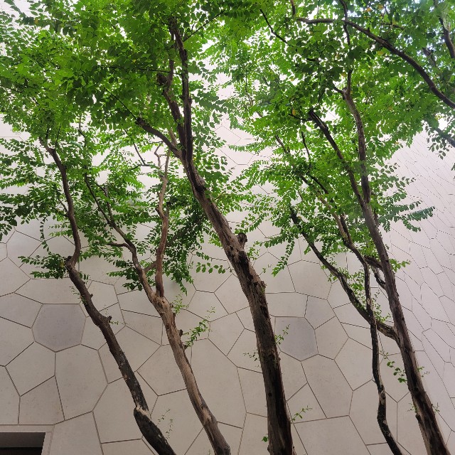 f:id:atoriatoriatori:20250916192130j:image