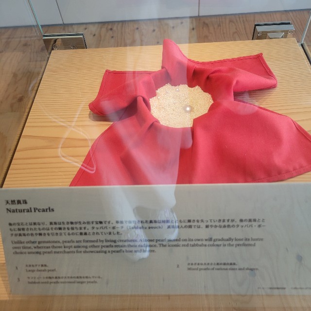 f:id:atoriatoriatori:20250920085716j:image