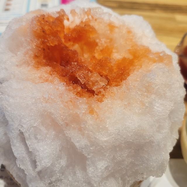 f:id:atoriatoriatori:20250921082556j:image f:id:atoriatoriatori:20250921082556j:image