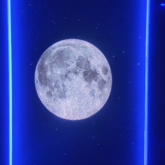 f:id:atoriatoriatori:20250923092221j:image