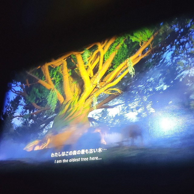 f:id:atoriatoriatori:20250925075948j:image