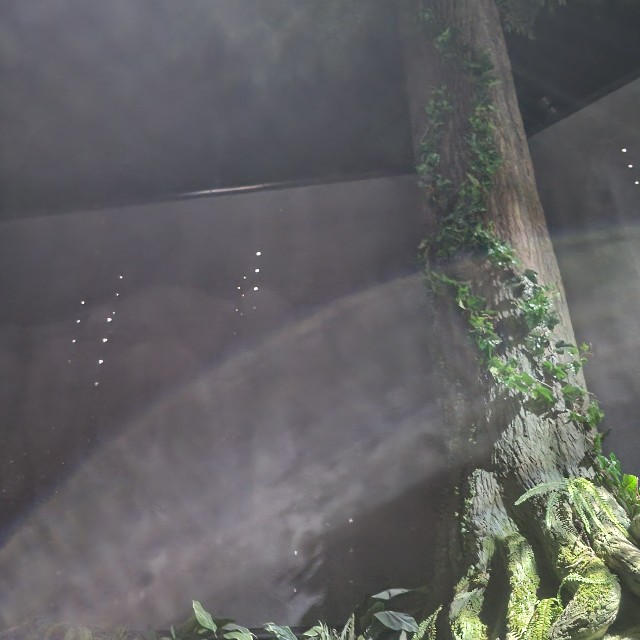 f:id:atoriatoriatori:20250925083914j:image