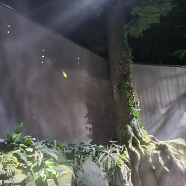 f:id:atoriatoriatori:20250925083923j:image