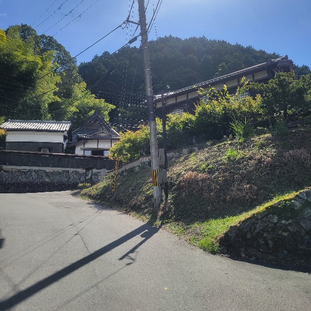 f:id:atoriatoriatori:20251025202002j:image f:id:atoriatoriatori:20251025202002j:image