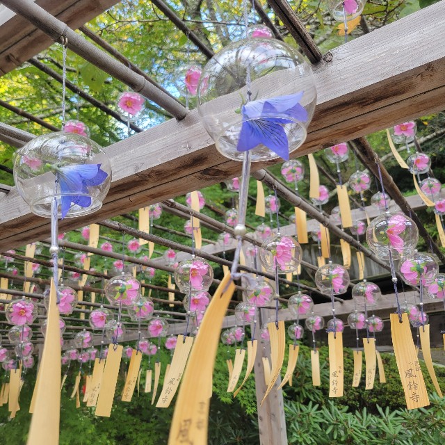 f:id:atoriatoriatori:20251026103907j:image f:id:atoriatoriatori:20251026103907j:image