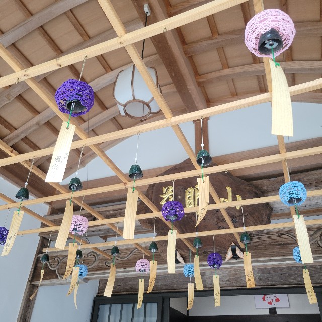 f:id:atoriatoriatori:20251027074320j:image f:id:atoriatoriatori:20251027074320j:image